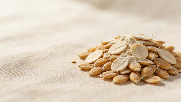 Oat protein